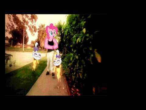 z0r TV - Party Hard With Funky Cats