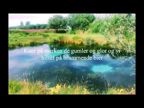 Det Sidste Vi Hører Er Lærken - Carsten Knudsen