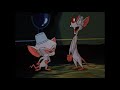 Pinky And The Brain Mouse Of La Mancha