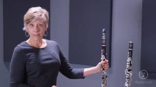 Video thumbnail for Yamaha YCL-CSVRA Series Professional A Clarinet by Music & Arts