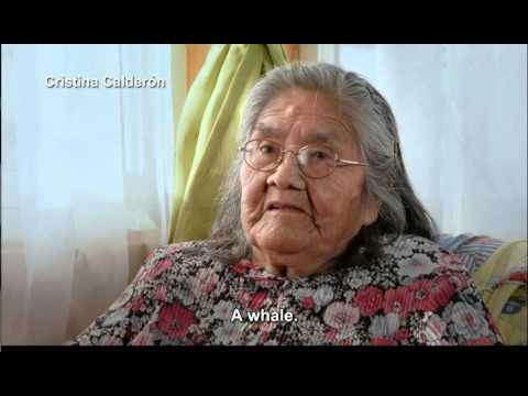 The Pearl Button (El botón de nácar) -  Language