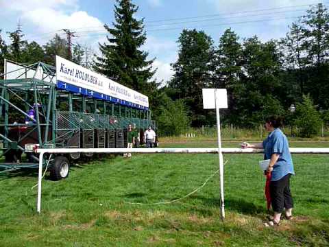 dostihy Karlovy Vary 2010 / Lázeňská míle-1600m-rovina,hl.dostih 18.7.2010*