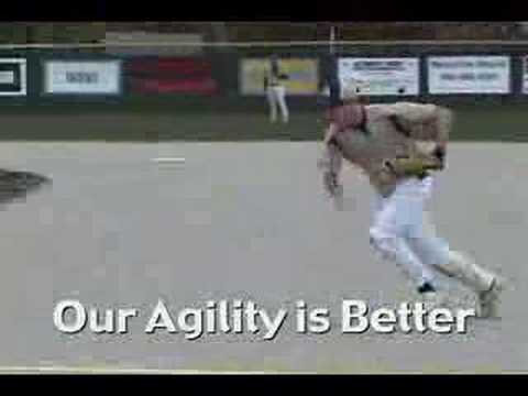 Fowlerville Baseball 2008