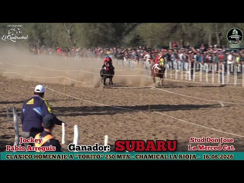 SUBARU (La Merced Catamarca) Hipodromo El Quebrachal Chamical L. R. - 16-08-2026