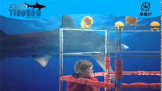 DIA 2 Expo Tiburon172