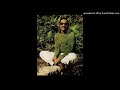 STEVIE WONDER - DO I LOVE HER