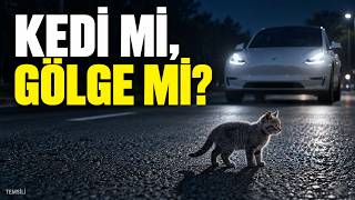 Elon Musk Neden Gri Kedilerden Bahsediyor?