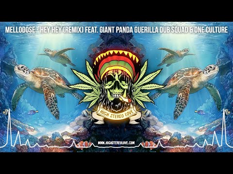 Mellodose - Hey Hey (Remix) Feat. Giant Panda Guerilla Dub Squad & One Culture 🌴 (Lyric Video 2025)