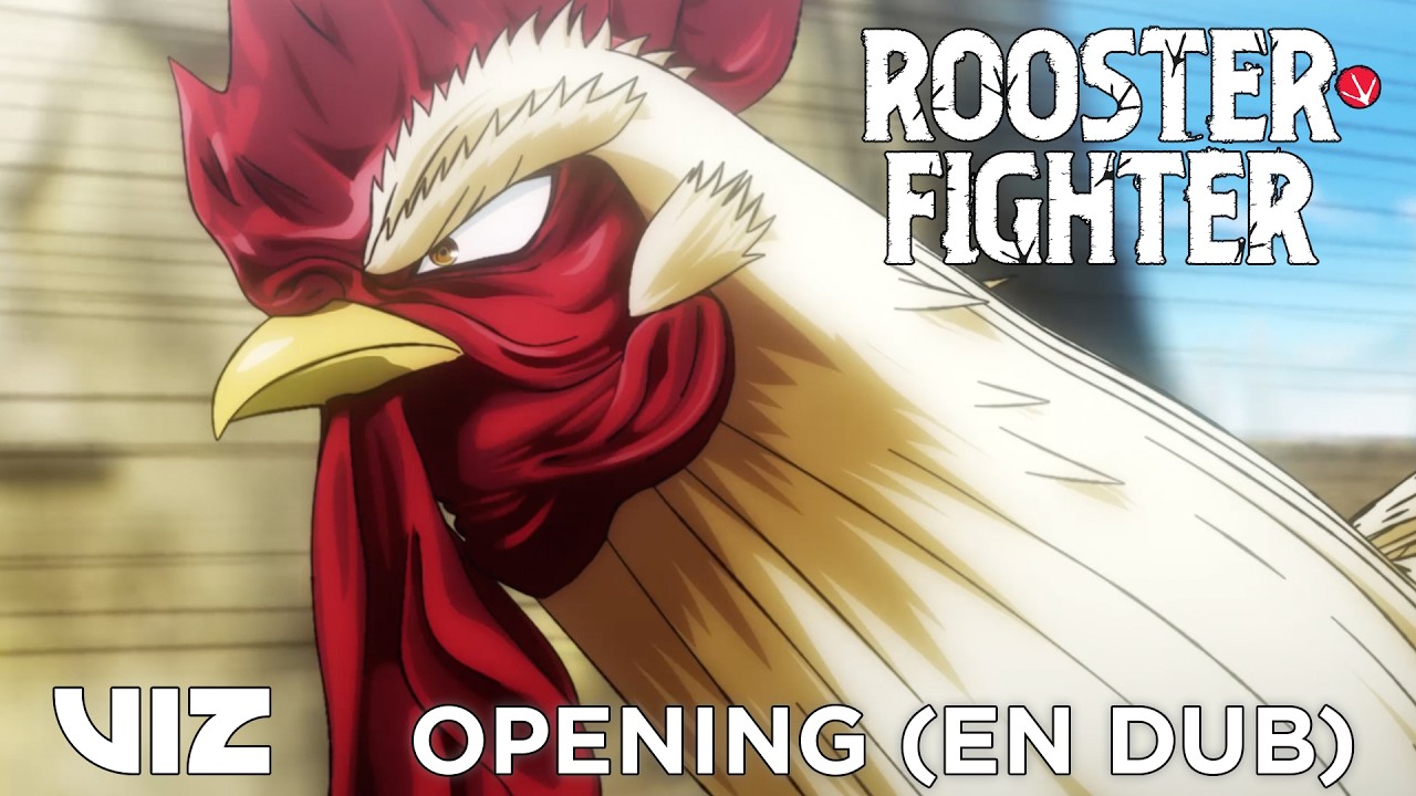 OPENING (ENGLISH DUB) | What's a Hero? by DARUMA Rollin' | Rooster Fighter | VIZ