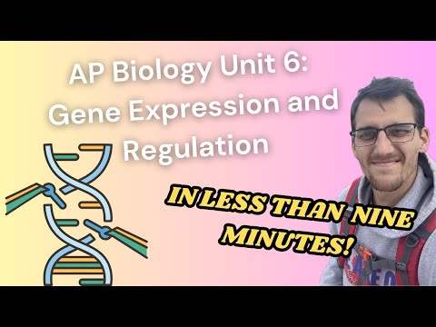 (2019 curriculum) Unit 6 AP Biology SPEED REVIEW! (Shorts Compilation)