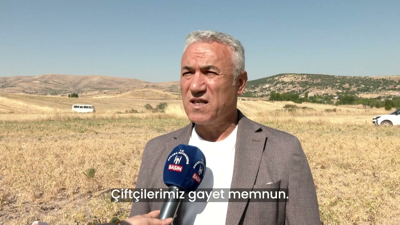 Nohutlarımızın Hasat Zamanı 