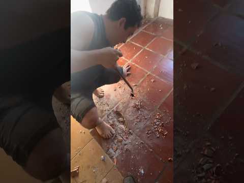 Protégeme señor Con tu espíritu