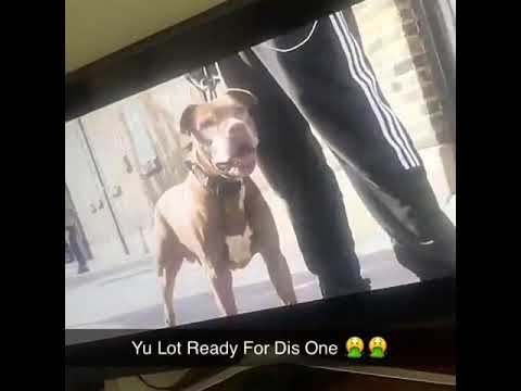 Trapfit x Gsplash - Swim #HarlemSpartans (Preview)