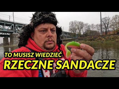 THIS IS WHAT YOU NEED TO KNOW ABOUT FISHING ZANDER IN THE RIVER IN AUTUMN - SPINNING FISHING