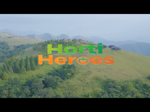 HortiNigeria Market Systems Intervention Documentary thumbnail