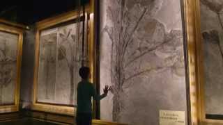 University of Derby video