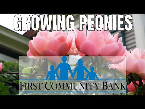 , title : 'Growing Peonies: Planting and Care