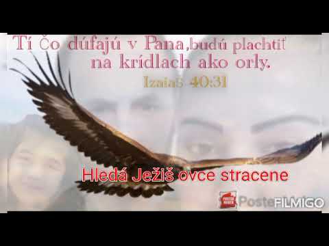 Evina Levoča-Hleda Ježiš ovce stracene