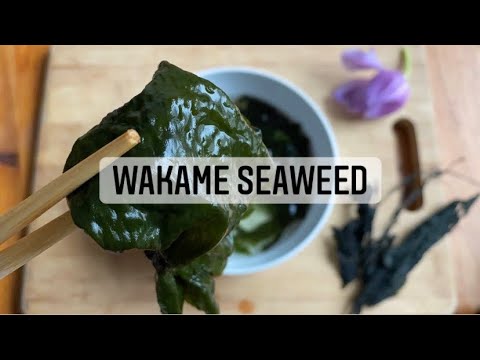 How to make WAKAME in 30 minutes | dried seaweed | healthy | asmr