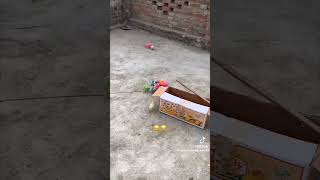 Download lagu Crazy Animals and football! My Original Laughing by Gianluca Marino #funny #laughing #laugh #risas mp3 Download lagu Crazy Animals and football! My Original Laughing by Gianluca Marino #funny #laughing #laugh #risas mp3