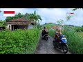 Village Life In Indonesia Rural Village Life In Indonesia Walking 4k
