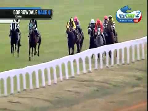 2014.11.29 Hrib Gold Cup Sprint (ZIM) - On This Rock