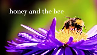 Honey And The Bee (Official Lyric Video)
