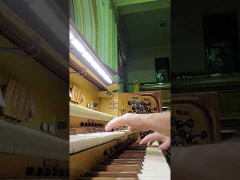 Bruce video 1584015017