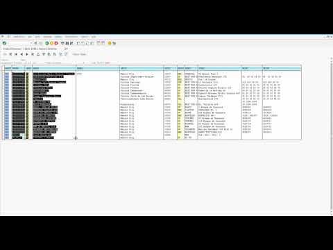 SAP User Basics: Copy Data - Video 9