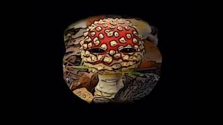 I&#39;ve said too much