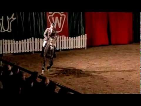 Gut Neuenhof Cristallo II Hengstschau 2011 in Münster Handorf