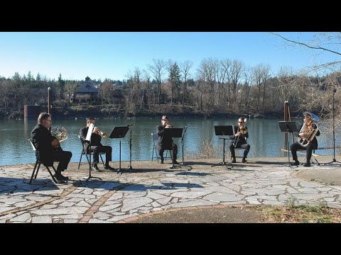 園芸 巻きひげのあるビニョーネ、オレンジのビニョーネ、バージニアのトランペット