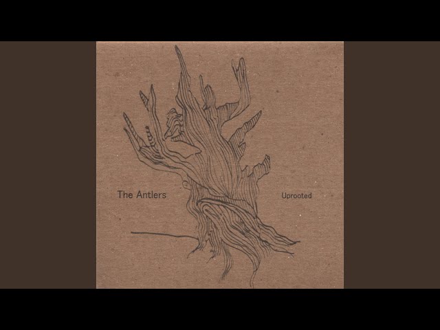 The Antlers: A Decade of Indie Rock Excellence