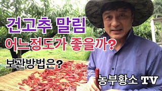 건고추 말림정도 어디까지? 보관 방법은?