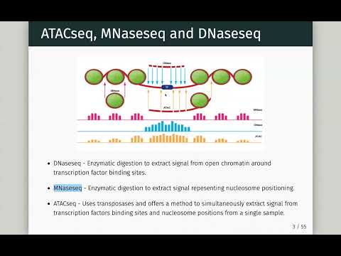 ATACseq in Bioconductor