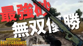 最強砂AMWで合計20キル無双優勝 - PUBG【りゅうにゃん】