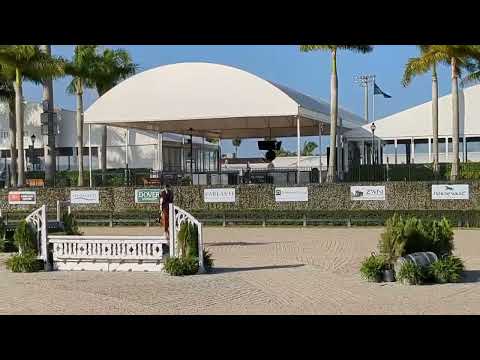 USEF/NCEA Junior Hunt Seat Medal- Tessa Perigo- Cliff hanger- 4th place