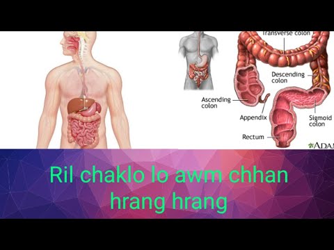 Ril chaklo lo awm chhan leh a kaihhnawih nghawng thalo te@mrpharmacist629