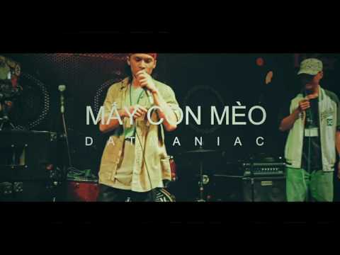 ( Beat ) Mấy Con Mèo - Datmaniac