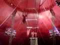 Shrine Circus