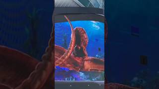 Sea Creatures attack #nassaubahamas #trending