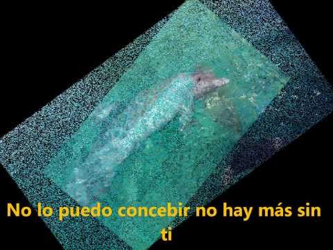 calle real- ya lo se  letra(lyrics)