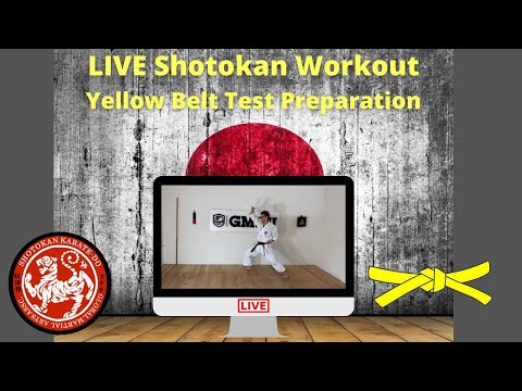 Shotokan Karate Yellow Belt Review LIVE Class thumbnail