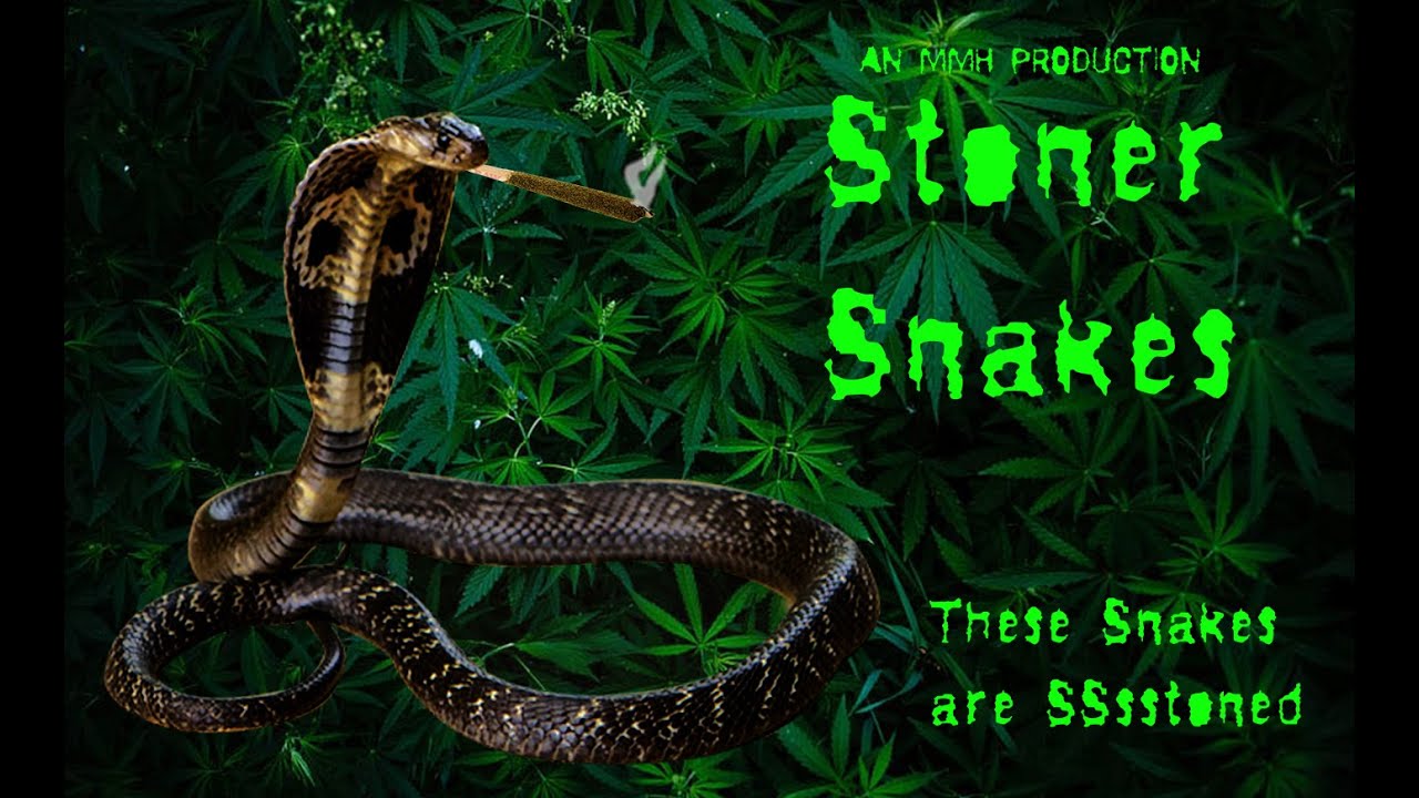 Stoner Snakes (2023)