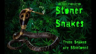 Stoner Snakes (2023)