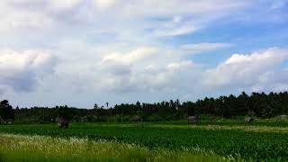 preview picture of video '#Бали. Сочная жизнь. Amlapura, Bali'