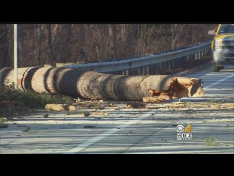 North Reading Woman Killed, Husband Injured When Tree Falls On Car In Andover