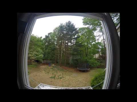 Cutting Down Trees Time Lapse