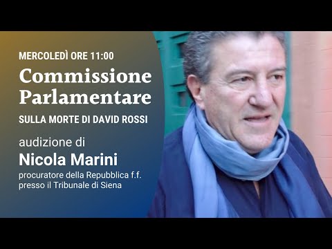 Commissione parlamentare sulla morte di David Rossi: Nicola Marini