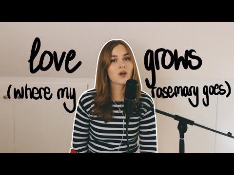 LOVE GROWS (WHERE MY ROSEMARY GOES) - Edison Lighthouse (Cover by Caroline Constanze)